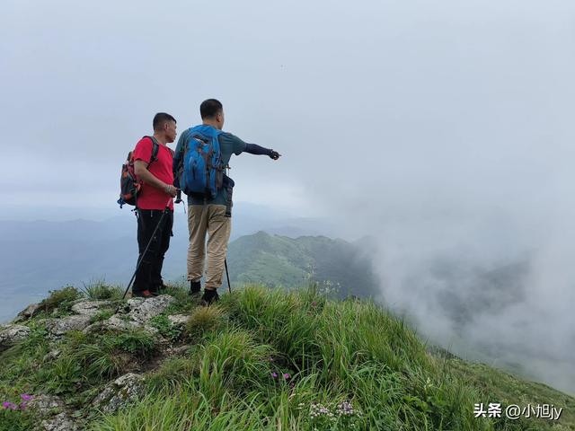 再登辽阳千米高峰白云山，云雾弥漫，金莲花盛开