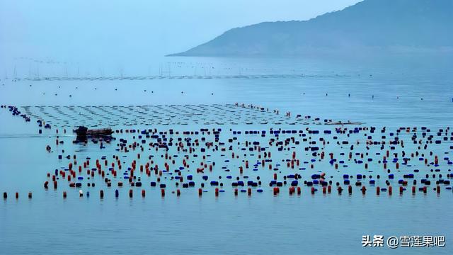 水墨国画，诗意霞浦