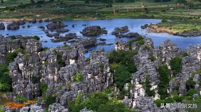 美上央视！季节限定！快去打卡昆明这个水墨仙境，机位、时间、交通等超详细攻略来了！