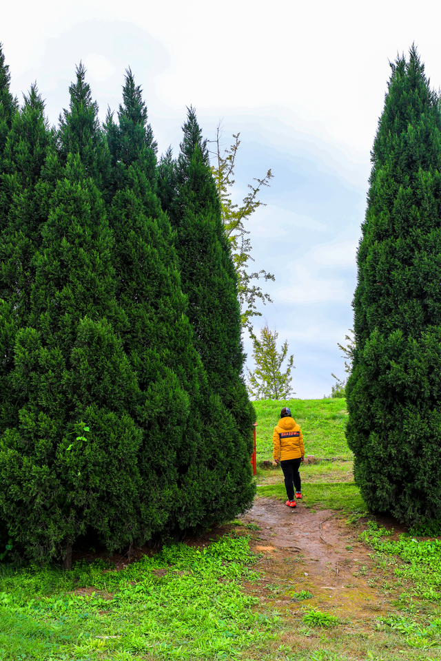 浞景无边，快乐亦无边~