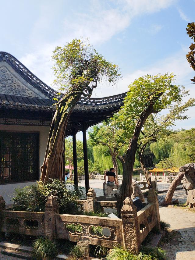 骑鹅下扬州之瘦西湖是真“瘦”，游过仅是后悔，那是真费腿啊