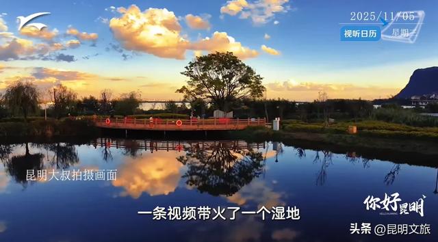 全屏“封神”！这可是昆明初冬的超绝顶流！保姆级攻略来袭，趁天晴立马冲！