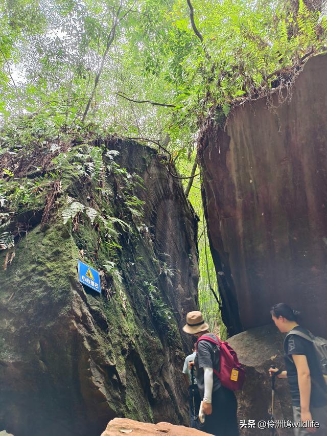 成都徒步（66）·邛崃篇⑥皮缝峡谷·皮缝古道