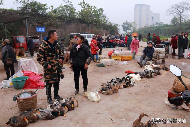 四川安岳除了摩崖造像，这里石羊镇的传统集市也是值得看看的