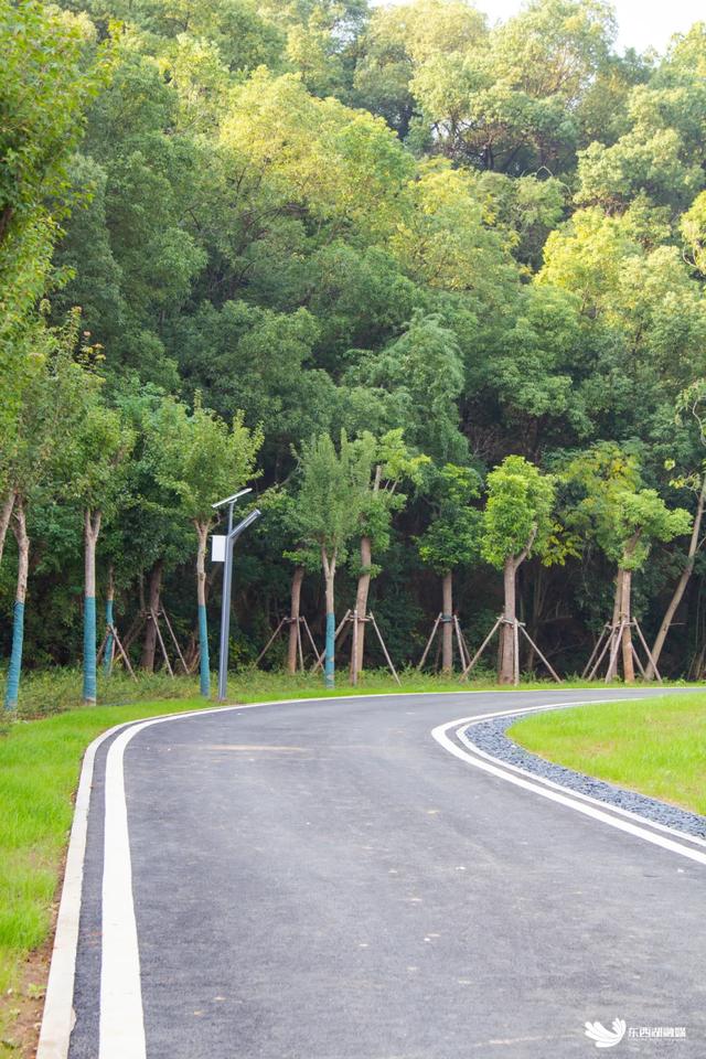 东西湖这座山,变了!