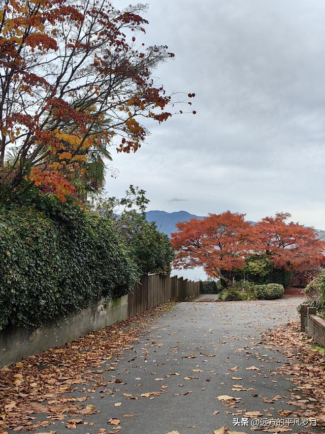 温哥华游记（五）