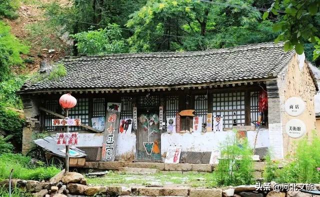 喵喵喵~山里有一个猫界桃花源！