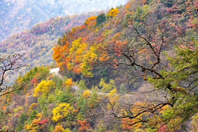 9月-11月，国内20个最美赏秋胜地，今年打算去哪一个