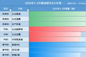 听我一句劝：燃油车尽量别买了！非要买就看这9款（含高中低档）图片