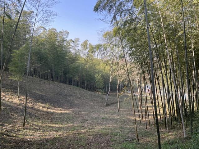 骑游仪征龙山森林公园、六合长江渔村