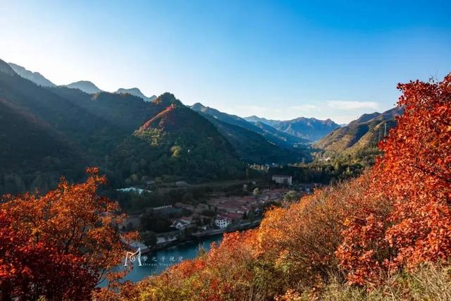 秋日登高指南｜层林浸染处，揽尽青州秋色