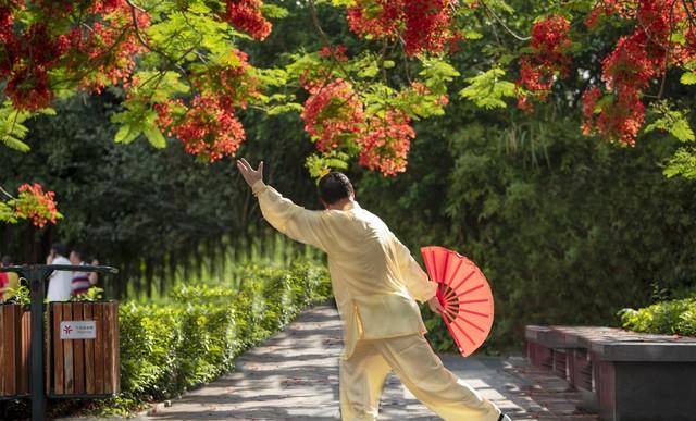 杨公大松大软：内劲松透龙虎形、脊椎松透臂如翼、腰胯松透腰眼凸