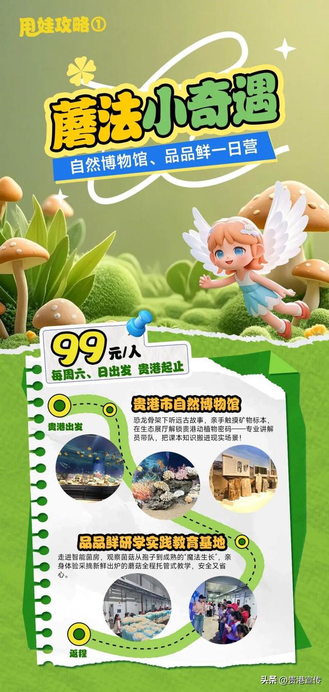 周末带娃！推荐几条超绝游玩路线→