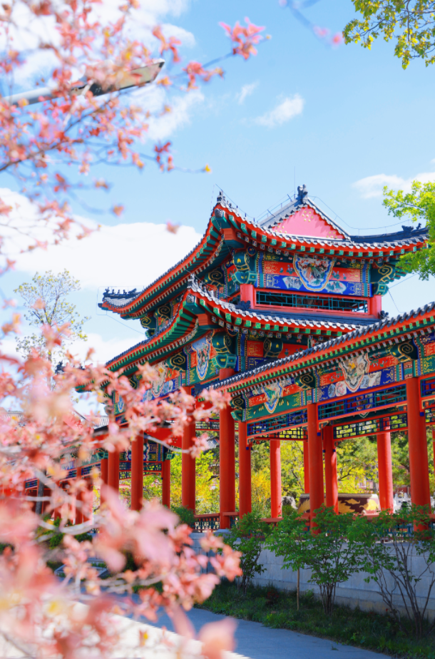 一次门票钱，免费一整年！潍坊5A级景区惠民年卡上线！