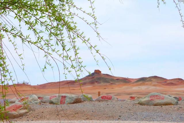 清明踏春|阳关沉浸式通关指南