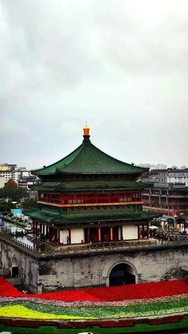 连月阴雨，文化古都长安城蘑菇遍地生，古塔蒙潮苔