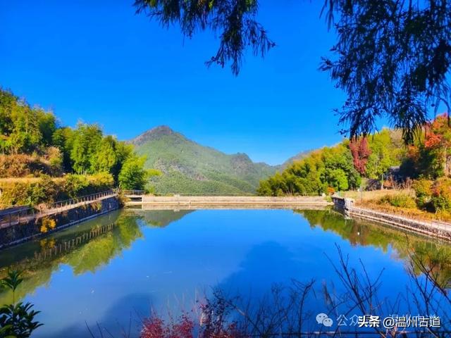 邂逅初冬醉美泽雅风情!藏于乡野的冬日艳遇,每个转角都有惊喜!