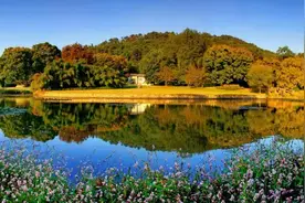 武汉： 2023年“三农”工作量增质升亮点纷呈图片