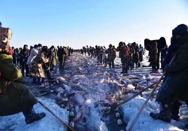 冬季趣体验 玩冰到白城|白城冰雪季系列活动期待与您相约！