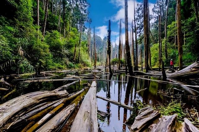 台湾省有哪些看头，一文看完景点+美食+住宿+攻略