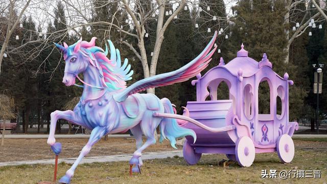 舜帝花海——邂逅一场别具一格的视觉盛宴