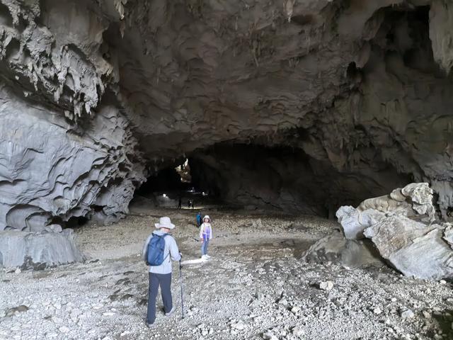 带小朋友去贵州茂兰,连环探洞加漏斗原始森林徒步二日游全攻略!