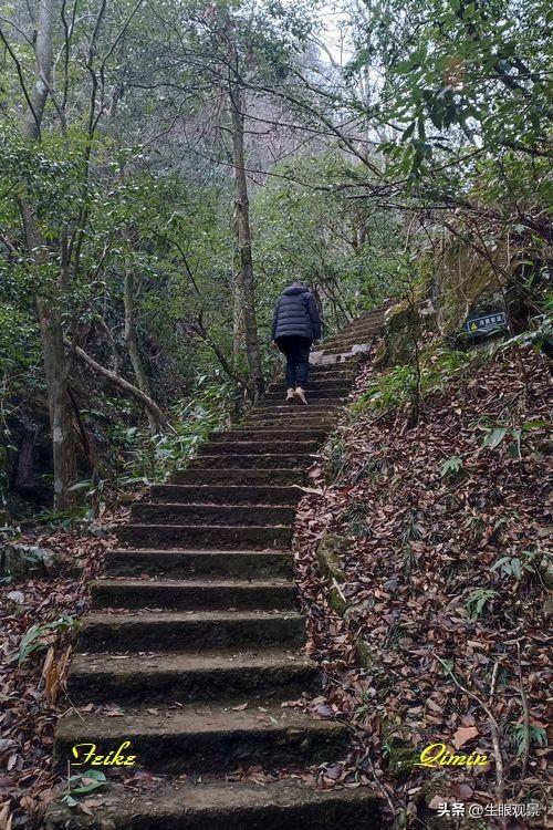 影记 | 衢州钱江源国家森林公园