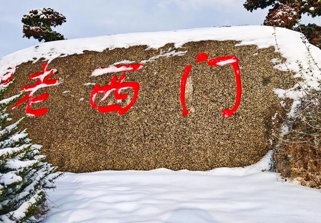 雪后的盐都，每一帧都是壁纸