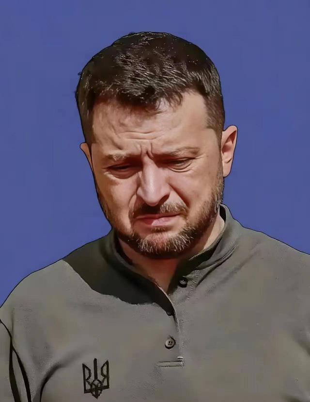 被卖了？美俄密谋28点停战协议，泽连斯基被秘密推上“断头台”