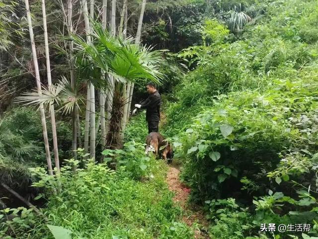 湖南2岁女童家门口消失近30小时，在1公里外的山林石缝中被找到！女童父亲：孩子身体状况良好