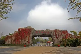 临时闭园！合肥野生动物园通知图片