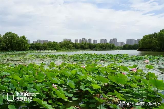 西安闹市有座“蓬莱岛”，曾是皇帝赏景胜地，如今依然仙气飘飘