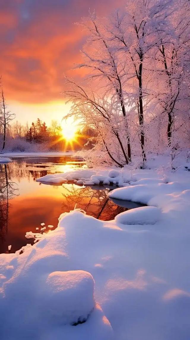 冰城飘雪，姑苏枫红，填满我的冬日时光～