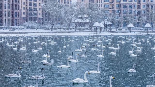 感恩同行！双十二那香海回馈威海市民，12月12日-18日探险世界免费畅玩！