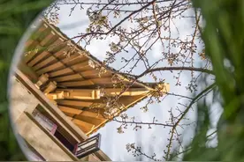130岁的武汉大学，远不止“中国最美大学”图片