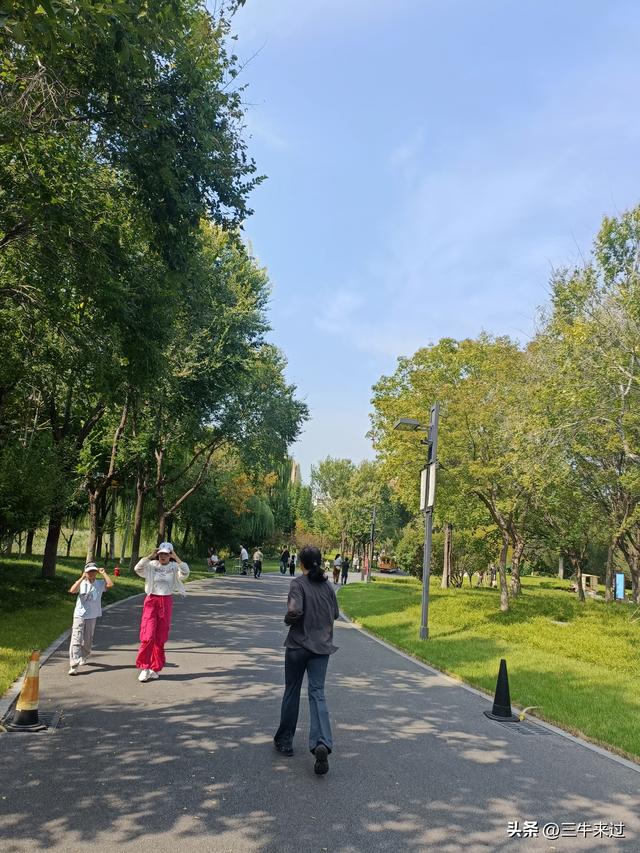 无为在歧路，国庆游淄博1