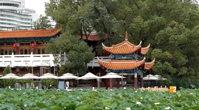 原来翠湖还能这么玩！带你解锁三种隐藏玩法，这样玩才够地道