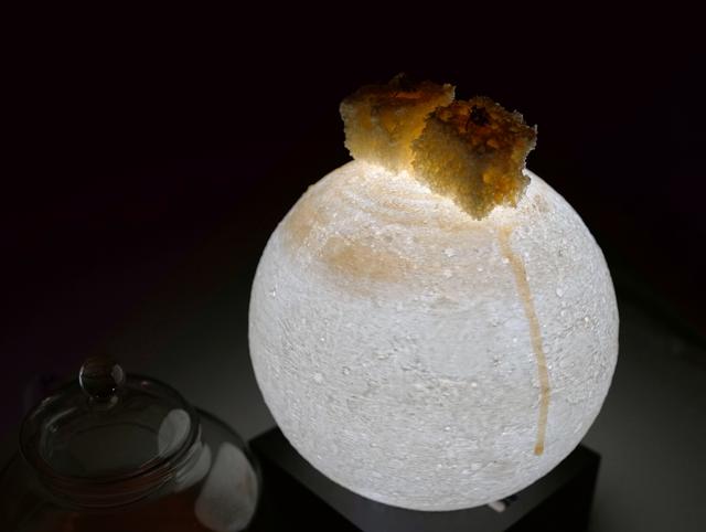 全球唯一米其林三星印度菜 彻底颠覆三观！