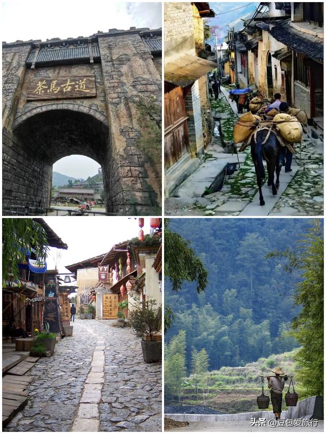 益阳漫游指南——竹海茶香与古巷时光，一场不赶路的湘中之旅