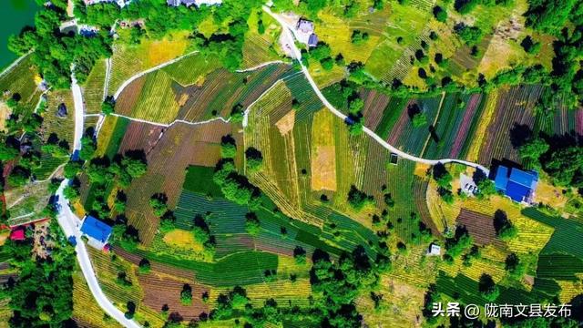 我爱你，文县！