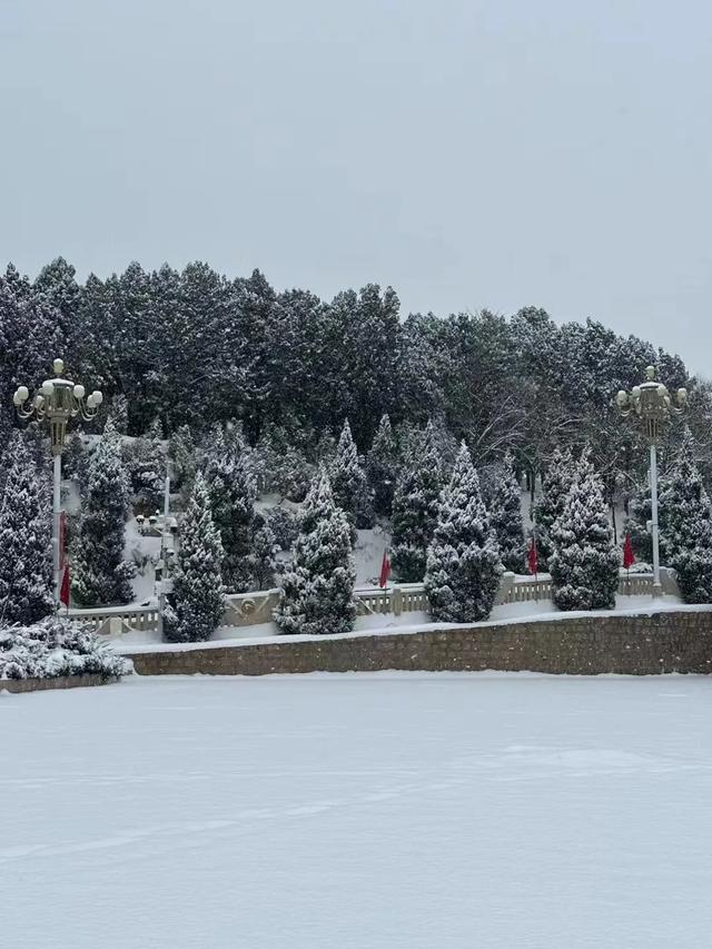 收好这份石家庄“雪景打卡地图”！走起→