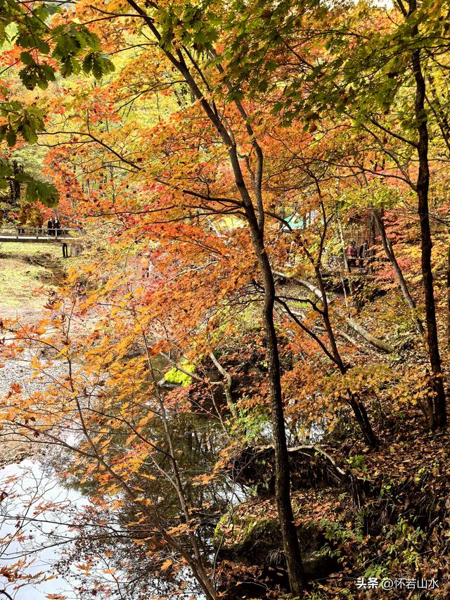 2025辽宁赏秋之旅日记(3)——游览洋湖沟和老边沟