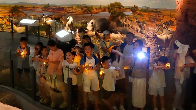 重庆自然博物馆暑期接待观众超20万人次 科普活动受热捧