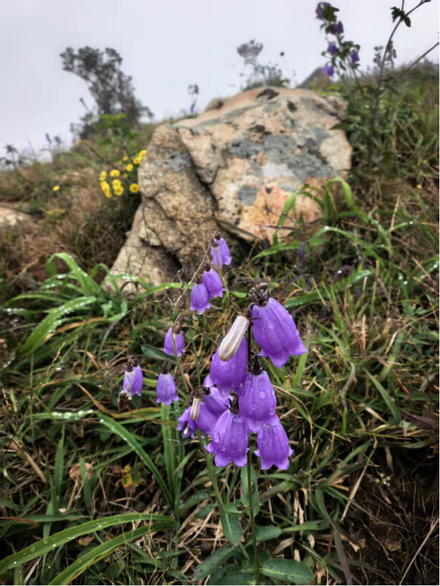 驴行信记：再攀“磨山顶”