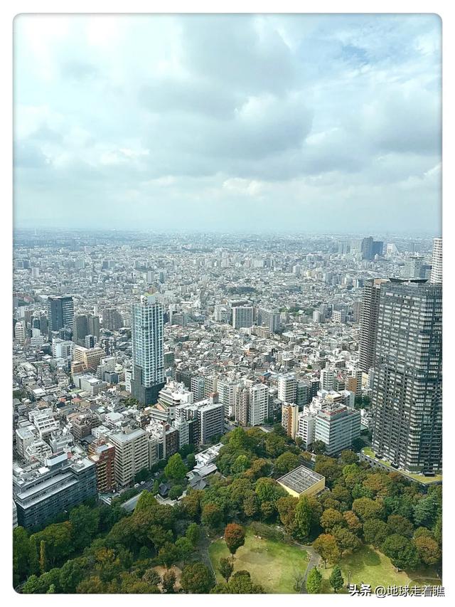 东京都厅：公务员食堂+免费观景台，这才是东京最“内行”玩法！