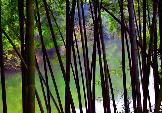 四川旅游：难忘宜宾长宁热气球赛采风行(图)