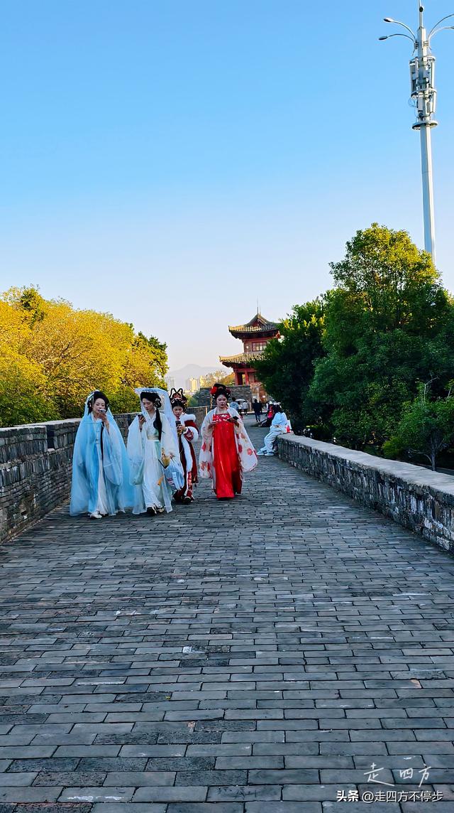 千年舟楫连古今，一桥尽藏匠人心——赣州贡江古浮桥游记