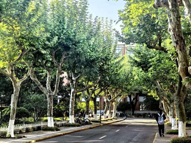 叮！你有一份上海秋日漫步地图待解锁→