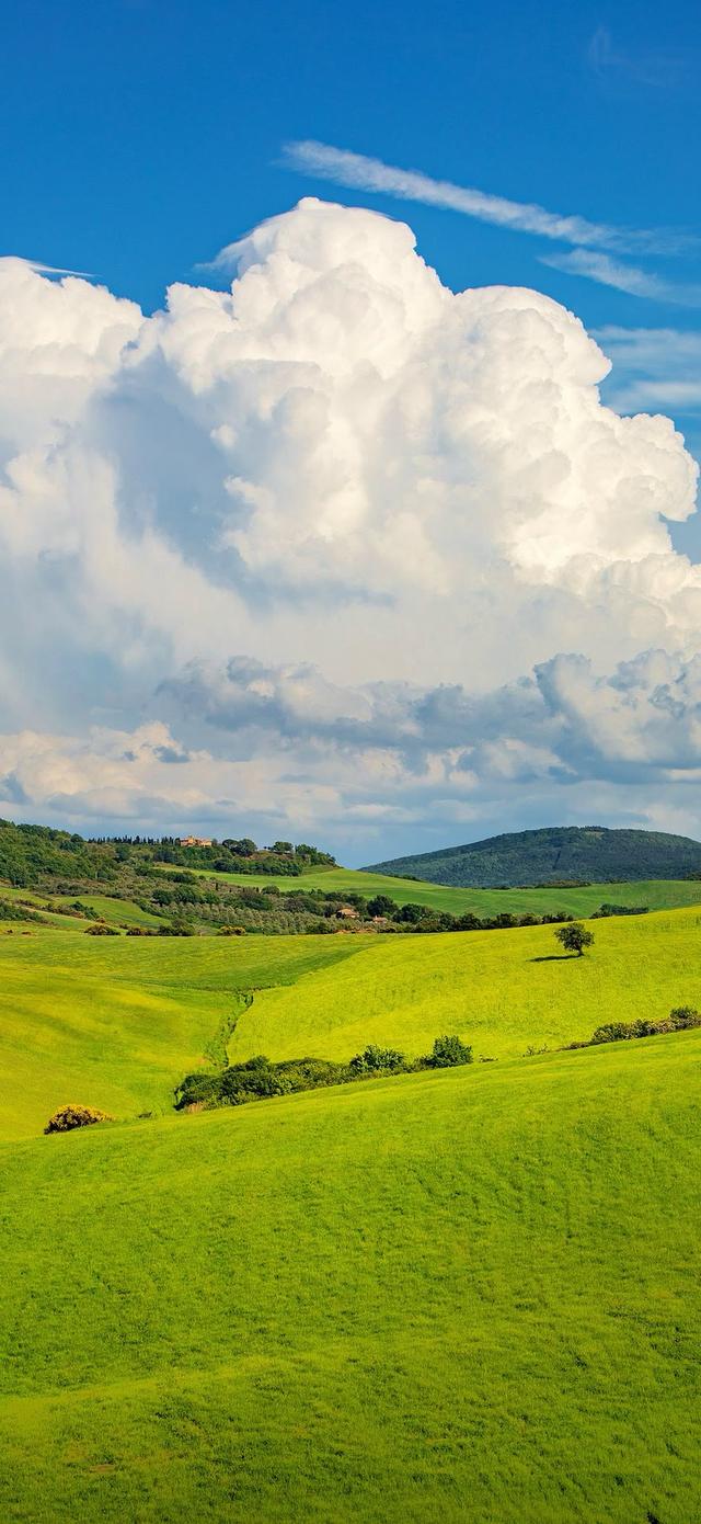 云起天犹湿，风翻势若奔。俄然开碧落，金日出乾坤