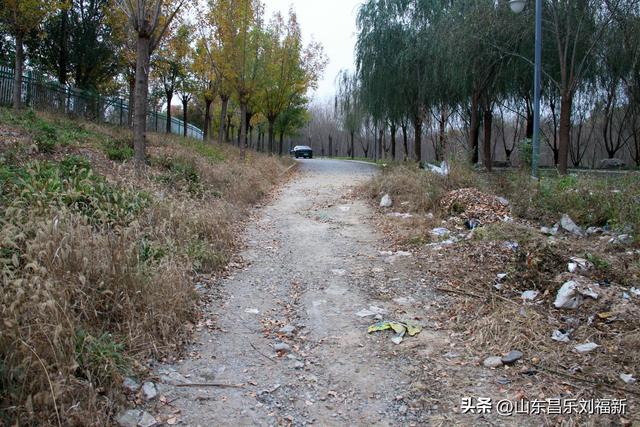 小丹河(老坝河水库西段)立冬那天的风光